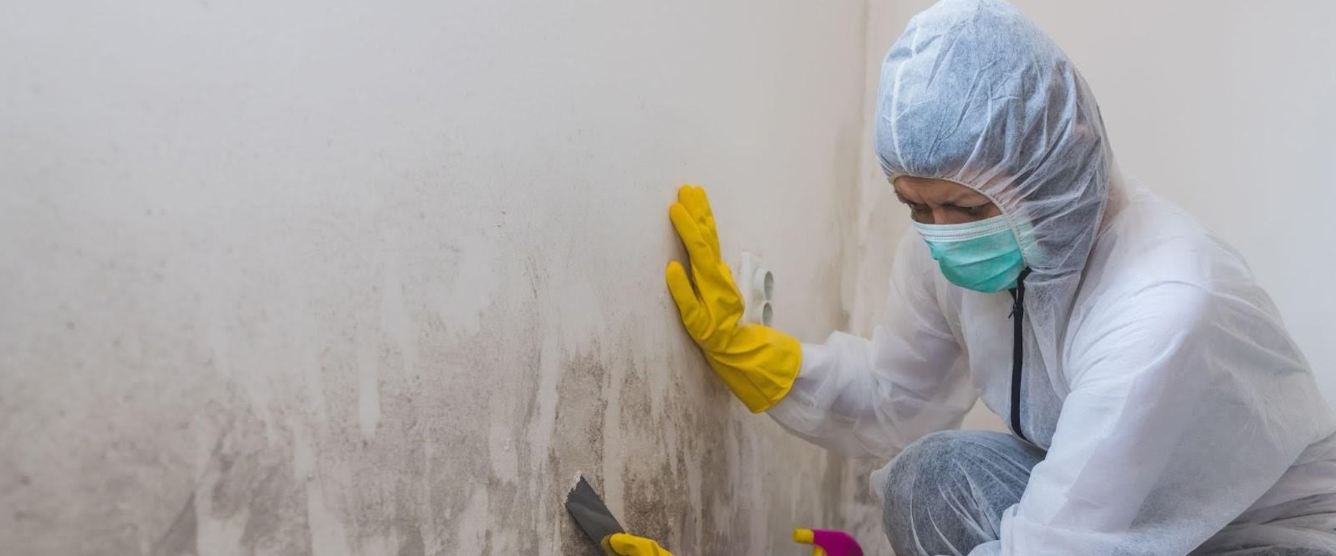View of How Much Does Mold Remediation Cost? (2026 Guide) - This Old House