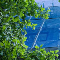 The Value Of Working With Real Estate Agents When Buying Sustainable Housing In Cobb County, GA