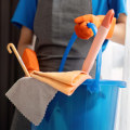 Sustainable Living In Salt Lake City: How Housemaids Can Help Maintain Your Eco-Friendly Home