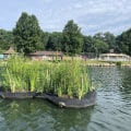 What Are The Environmental Benefits Of Choosing A Water Damage Restoration Service That Promotes Sustainable Housing In Edina, MN