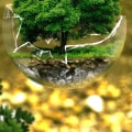What are some examples of sustainable living?