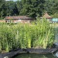 Plumbing Services And Their Impact On Sustainable Housing Development In Lynnwood, Washington