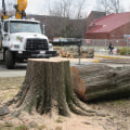 Why Choosing A Tree Service Company Is Essential For Sustainable Housing In Louisville