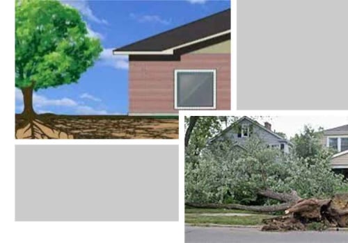 From Roots to Roofs: The Role Of Tree Services In Sustainable Housing Development In Hattiesburg