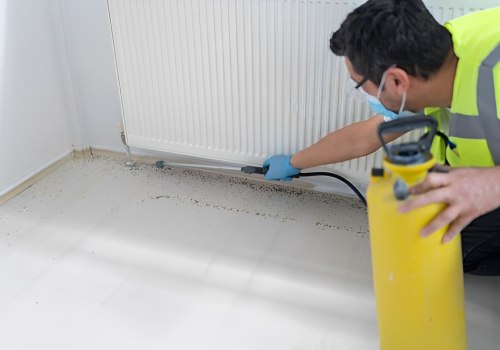 How Bed Bug Extermination Services In Orlando, FL Support Sustainable Living
