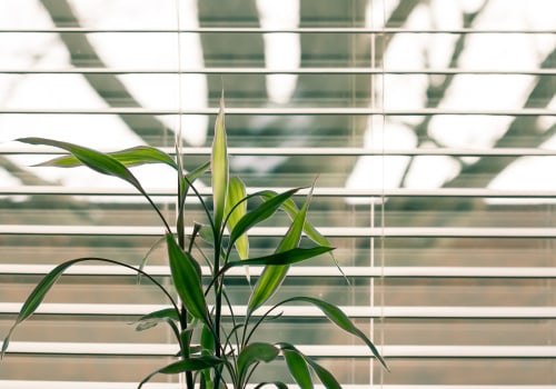 Colorado Springs Sun Solutions: How Window Blinds Contribute To Sustainable Housing