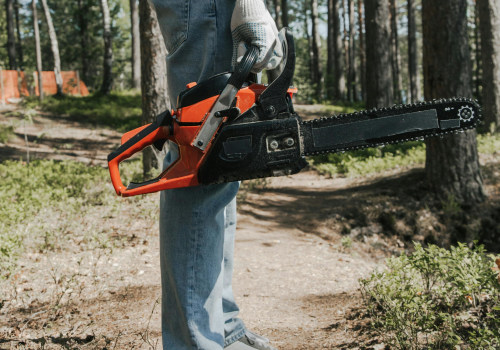 The Environmental Benefits Of Tree Service In Sustainable Housing Development In Austin, TX