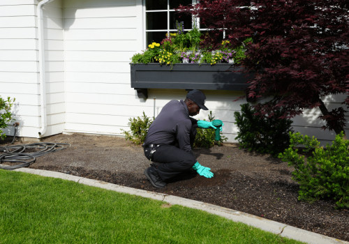 Safeguarding Woodstock's Environment: How Pest Control Services Support Sustainable Housing