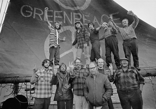 When did the sustainable movement start?