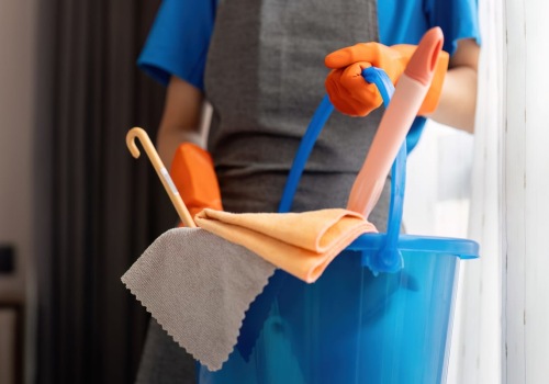 Sustainable Living In Salt Lake City: How Housemaids Can Help Maintain Your Eco-Friendly Home
