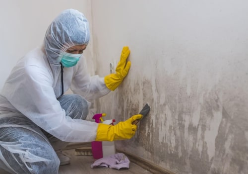 Building A Healthy Future: The Crucial Role Of Mold Remediation In Sustainable Housing In Utah