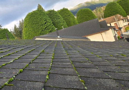 Vancouver's Sustainable Future: The Role Of A Roofing Replacement Service In Sustainable Housing