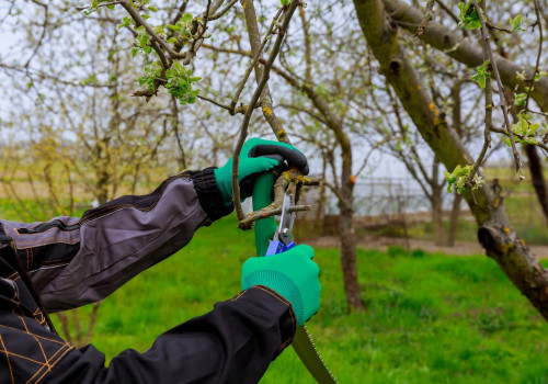 The Role Of Landscape Maintenance In Building A Sustainable Home In Damascus, Oregon