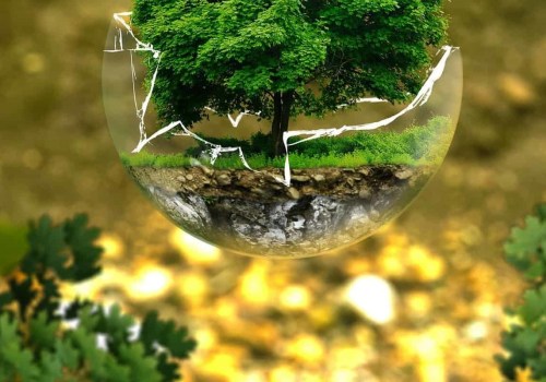 What are some examples of sustainable living?