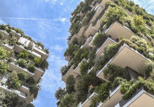 The Green Advantage: Why Emergency Plumbers Are Vital To Sustainable Housing In Livermore, CA