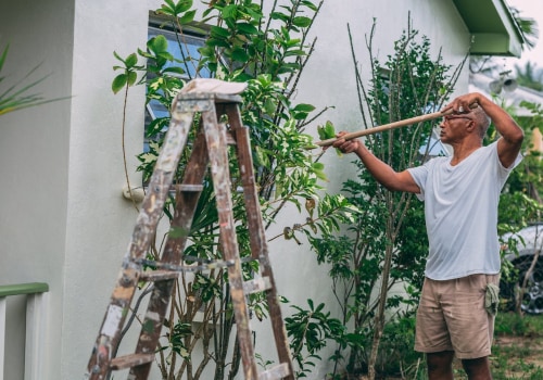 Green Goes Glam: Painting Your Sustainable Housing In Charlottesville
