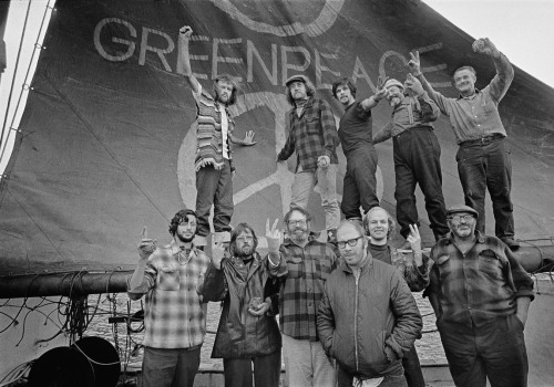 When did the sustainable movement start?